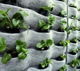 14 creative ways to plant a vertical garden maximize space, Use Recycled Florafelt to House Root Wrapped Plants