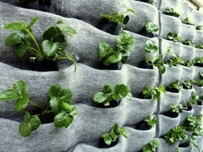 14 creative ways to plant a vertical garden maximize space, Use Recycled Florafelt to House Root Wrapped Plants