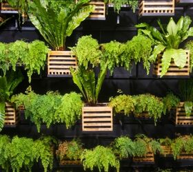 14 creative ways to plant a vertical garden maximize space, Dress up a Living Breathing Wall of Leaves