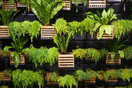 14 creative ways to plant a vertical garden maximize space, Dress up a Living Breathing Wall of Leaves