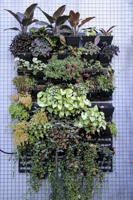 14 creative ways to plant a vertical garden maximize space, Choose Succulents and Other Species That Are Easy to Care For