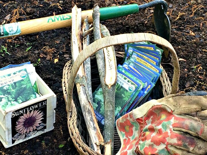 when to sow and plant seeds