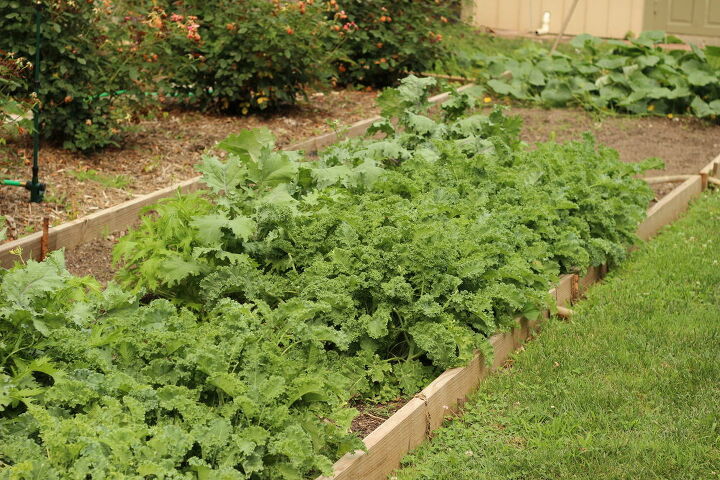 when to sow and plant seeds