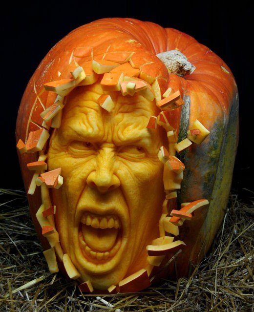 16 creative pumpkin carving ideas, Pumpkin Faces Coco Tree Service Corp