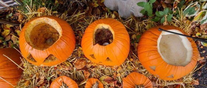 16 creative pumpkin carving ideas, Preserve Your Carved Pumpkin Wet Forget
