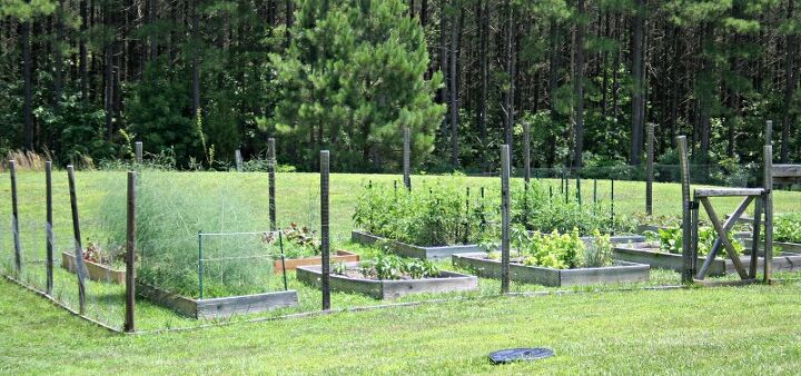 leve seu jardim a novas alturas com dez timas dicas sobre canteiros elevados, Como planejar um jardim de canteiro elevado