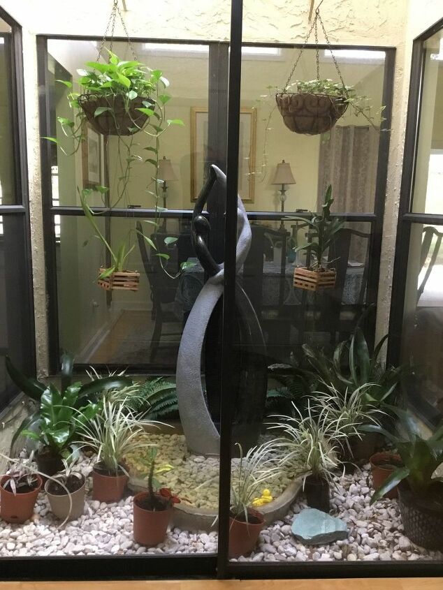 what are the best plants for an atrium in my home