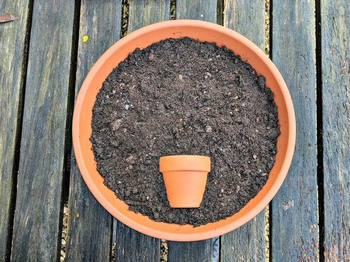 pretty as a picture succulent planter