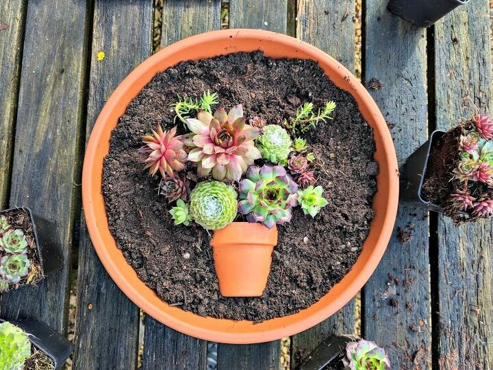 pretty as a picture succulent planter