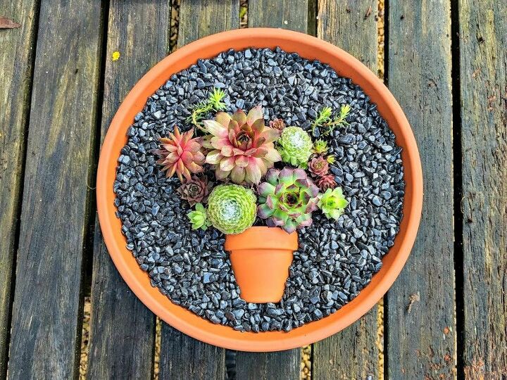 pretty as a picture succulent planter