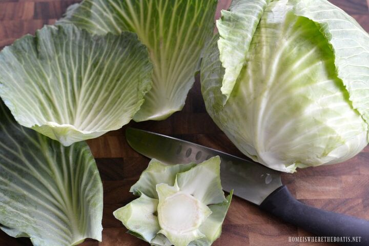 create a blooming cabbage for st patrick s day
