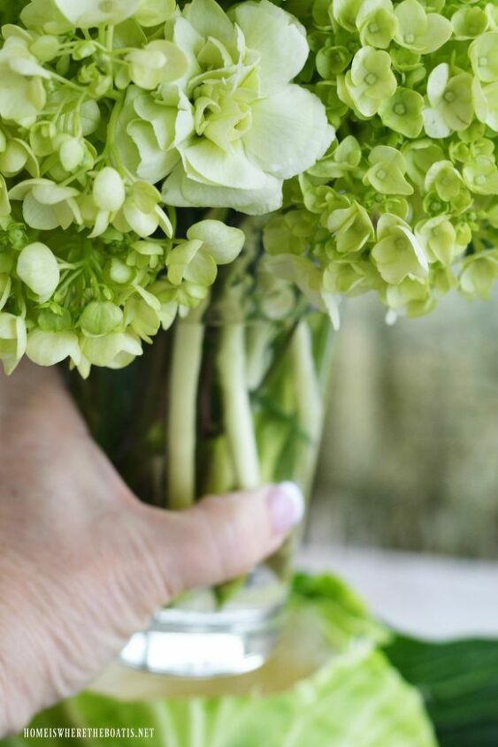 create a blooming cabbage for st patrick s day