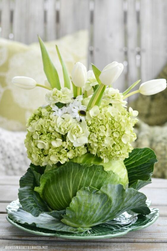 create a blooming cabbage for st patrick s day