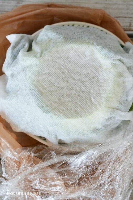 create a blooming cabbage for st patrick s day