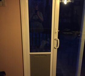 how big does my dog door need to be