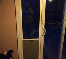 Diy great clearance dane dog door