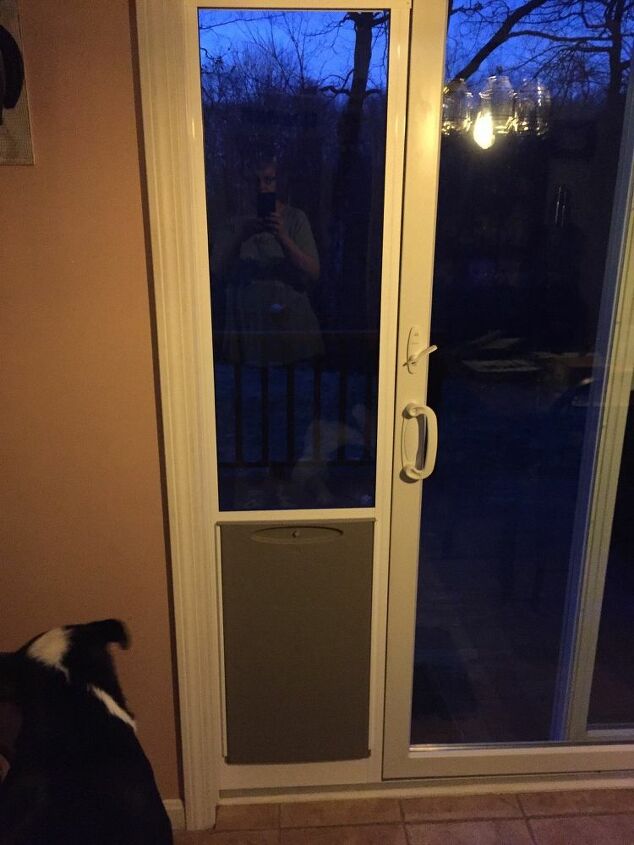 q dog door covering
