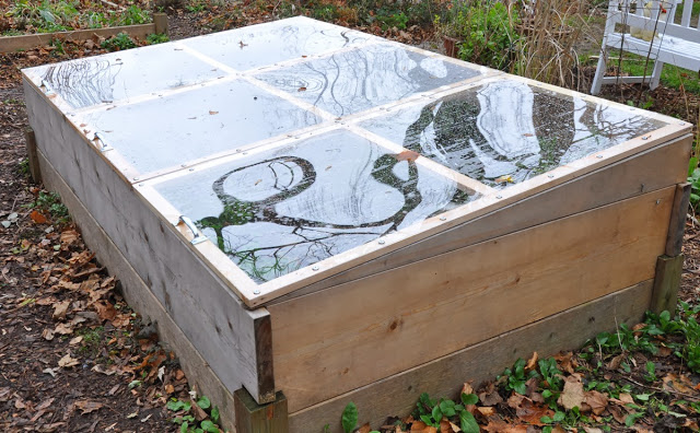 diy raised garden bed ideas to transform your garden space, Raised Bed With Detachable Cold Frame