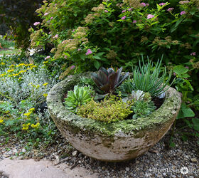 succulent garden inspiration transform your decor with succulents, A Miniature Succulent Garden in Concrete