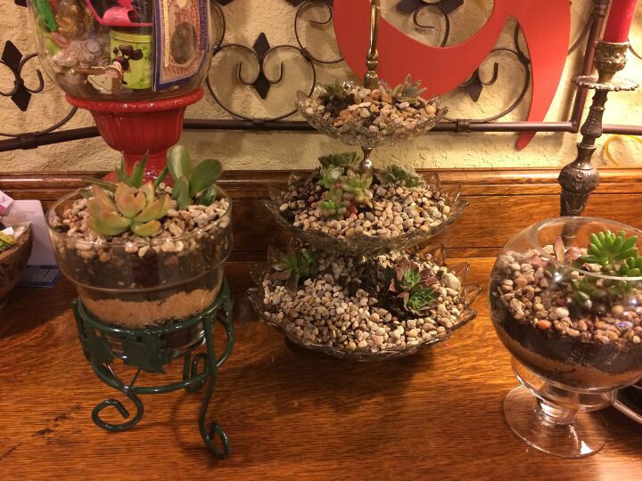 succulent garden inspiration transform your decor with succulents, Succulents Make the Perfect Mother s Day Gift