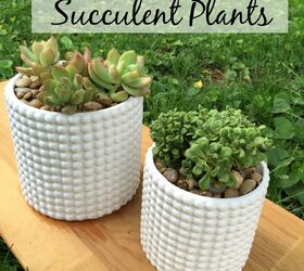 succulent garden inspiration transform your decor with succulents, How to Care For Your Succulent Garden
