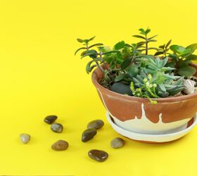 succulent garden inspiration transform your decor with succulents, DIY Miniature Succulent Garden