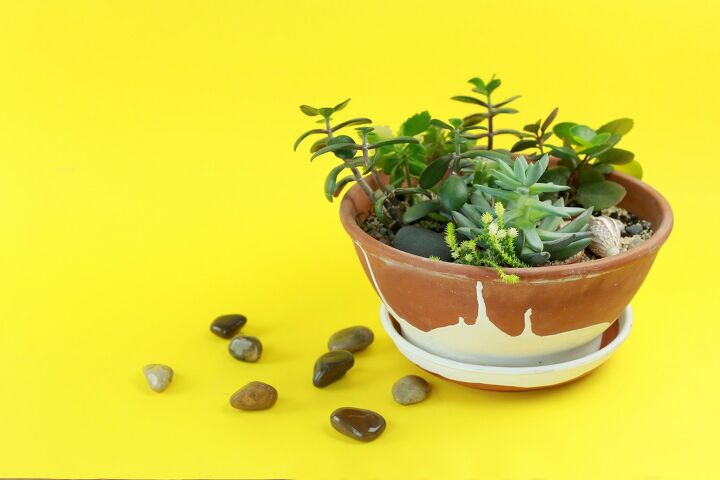 succulent garden inspiration transform your decor with succulents, DIY Miniature Succulent Garden