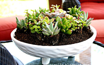 Succulent Garden Inspiration: Transform Your Decor With Succulents