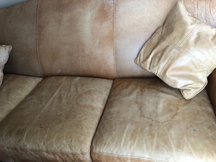 q what product will work to recondition a leather sofa