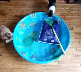 how to make a mess free diy litter box out of a plastic kiddie pool, Setting up the kitty pool