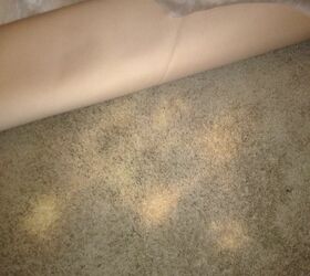 q my son in law accidentally bleached the carpet