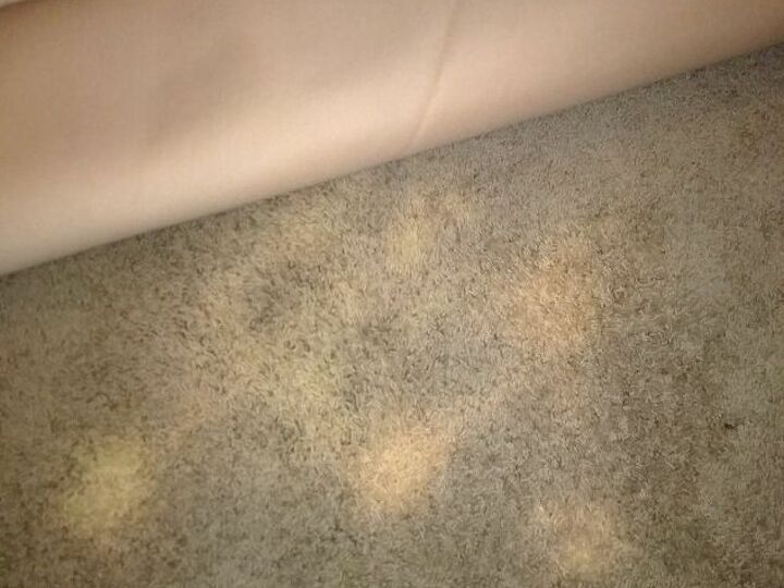 q my son in law accidentally bleached the carpet