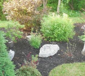 to mulch or not to mulch that is the great gardening question, After Mulching
