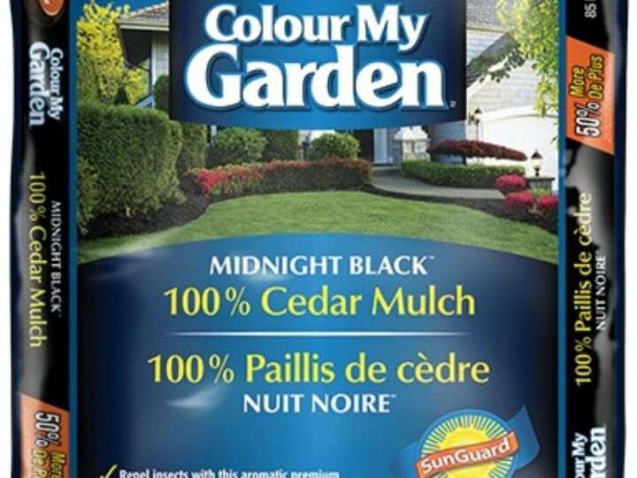to mulch or not to mulch that is the great gardening question