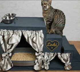 luxury cat condo