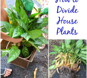 14 indoor gardening hacks for anyone not ready to leave their garden