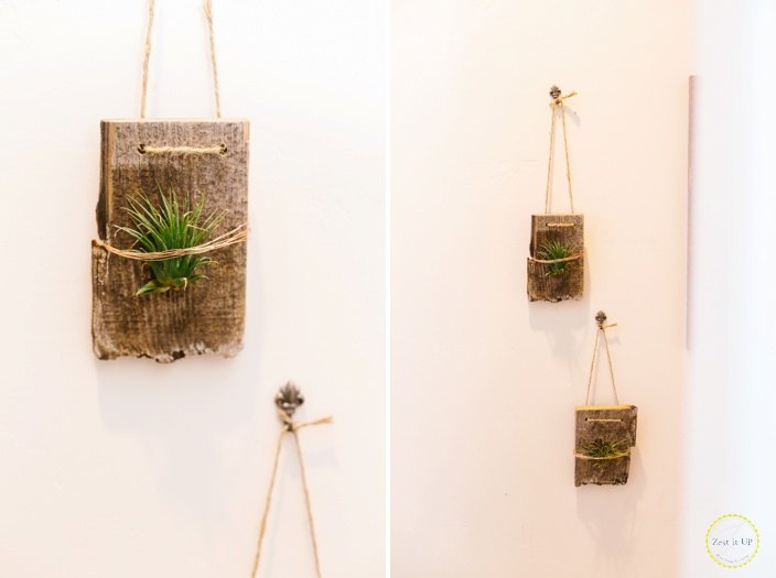 20 decoraes de parede diy para embelezar seu espao, plantas de ar montadas na parede