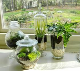 dale vida a tu casa con un terrario, Uso de terrarios para la jardiner a de interior