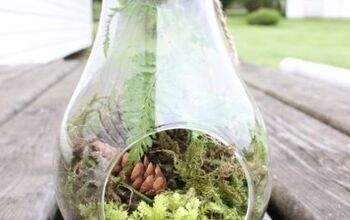 Dê vida à sua casa com um terrário