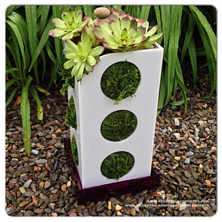 12 ways to find peace with your own zen garden, Growing Zen Garden