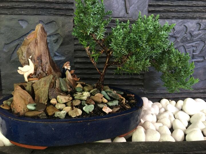12 ways to find peace with your own zen garden, Bonsai as a Zen Garden Feature