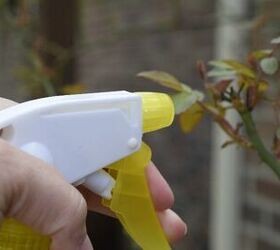 Easy Homemade Fungicide Spray for Plants – Two Ingredients!!