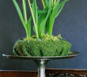 elevated tulips for easter and beyond