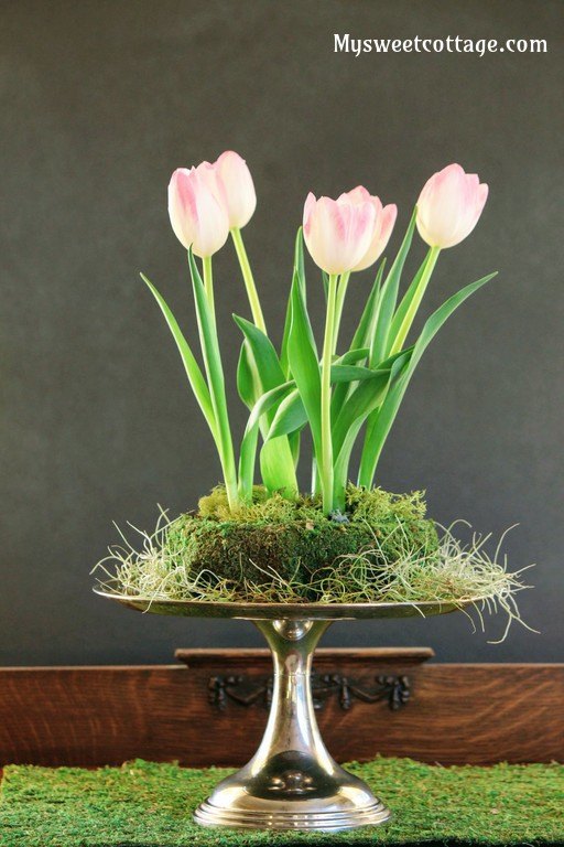 tulipanes elevados para pascua y ms all