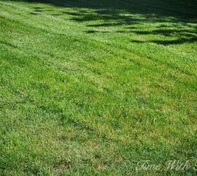 how to grow grass for a lawn the neighbors will envy, How to Grow Grass Seed Time With Thea