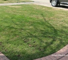 how to grow grass for a lawn the neighbors will envy, How to Get Grass to Grow Ann s Entitled Life
