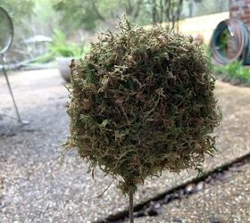 mini moss ball topiary diy