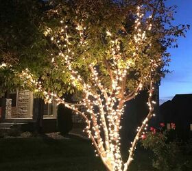 how to wrap an outdoor tree with lights