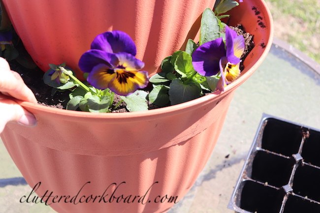 diy inexpensive solar fountain for the garden