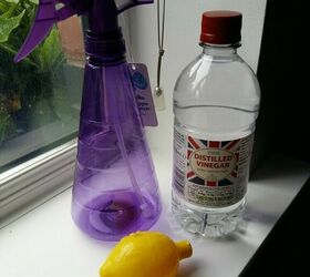 s 12 life hacks make spring cleaning easy as pie, Spray vinegar on your windows